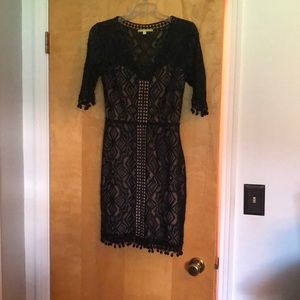 Black and Tan detailed lace dress.